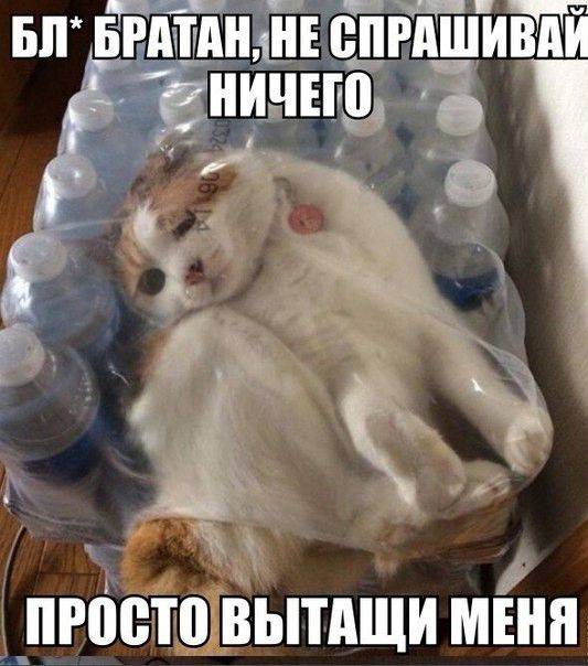 г __ПР0010 ВЫТдЩИ МЕНЯ