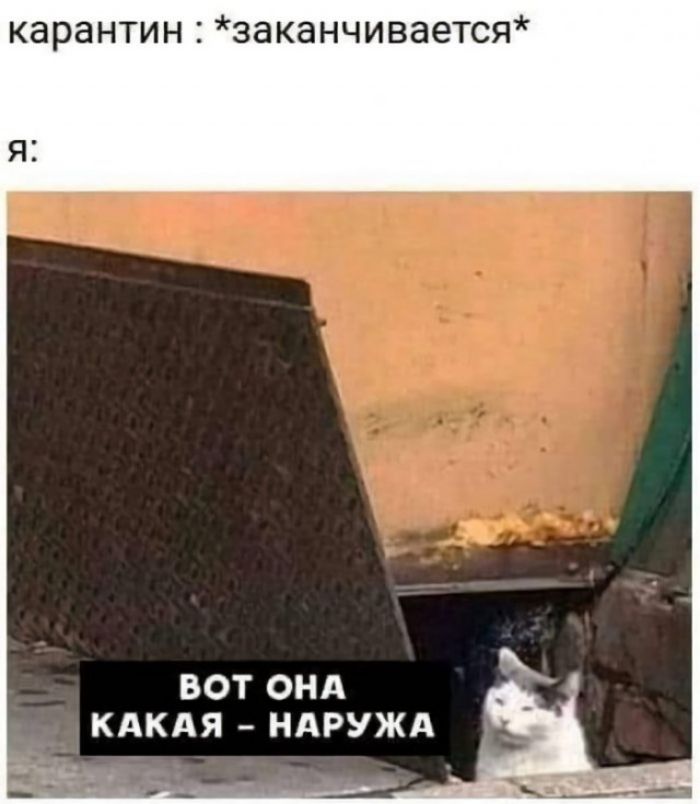 карантин заканчивается ВОТ ОНА КАКАЯ НАРУЖА