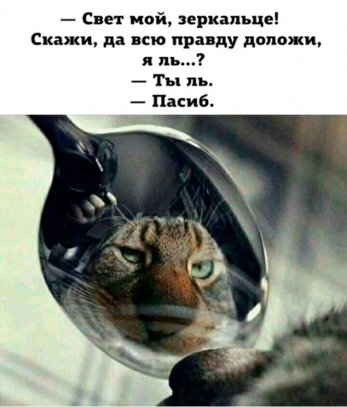Свет мой зеркальце Скажи да всю правду допожи пь Ты пь Пасиб