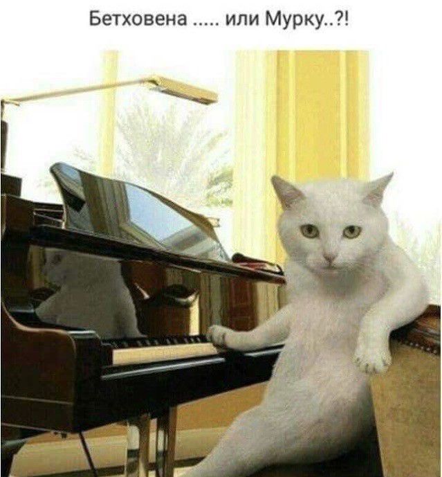 Бетховена или Мурку