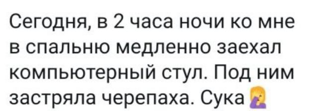 Сегодня в 2 часа ночи ко мне в спальню медленно заехал компьютерный стул Под ним застряла черепаха Сука