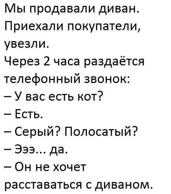 Мы продавали диван Приехали покупатели увезли Через 2 часа раздаётся телефонный звонок У вас есть кот Есть Серый Полосатый Эээ да Он не хочет расставаться с диваном