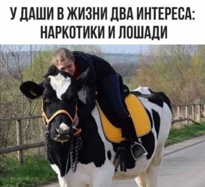 У НАШИ В ЖИЗНИ дВА ИНТЕРЕВА НАРКОТИКИ И ЛОШАДИ _ И _