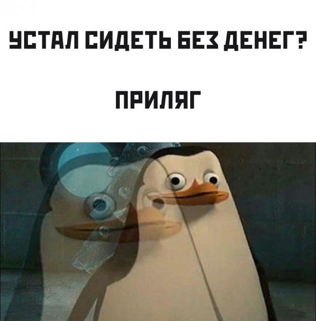 НЕТПЛБИДЕТЬЕЕЗДЕНЕГ ПРИЛЯГ