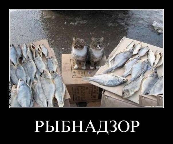 РЫБНАДЗОР