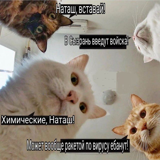 ХимическИе Наташ щеракетсйповирусу усуебанут