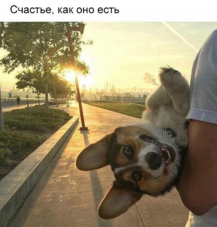СЧЭСТЬЭ как ОНО ЕСТЬ