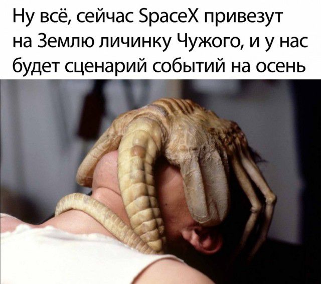 Ну всё сейчас ЗрасеХ привезут на Землю личинку Чужого и у нас будет сценарий событий на осень