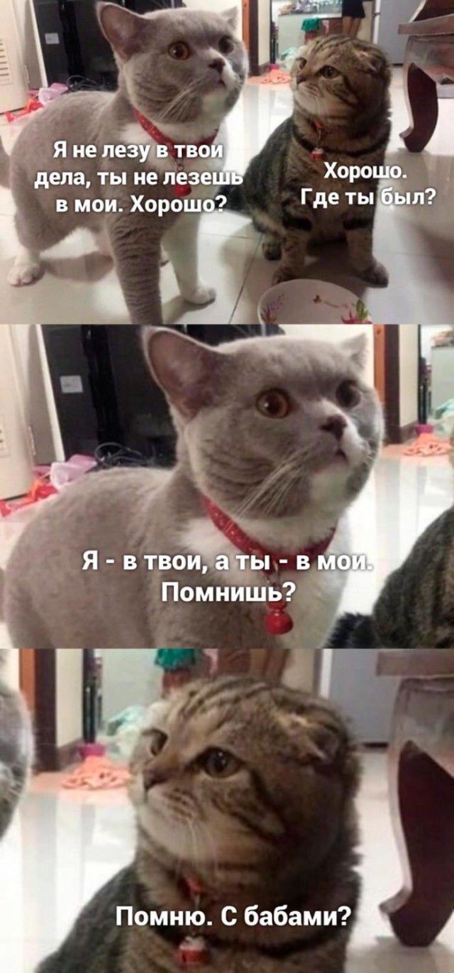 дела ты не лезе вмои Хорош Я втво ы в Помнишь Помню С бабами