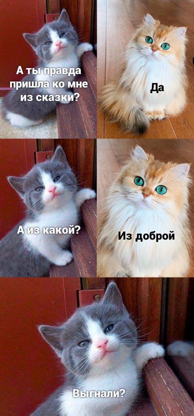 Ри _ из сказкит