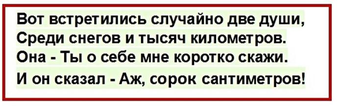 Вот встретились случайно две души Среди снегов и тысяч километров Она Ты о себе мне коротко скажи И он сказал Аж сорок сантиметров