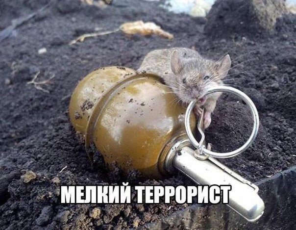 ТИШИИИ ТЕРЮРИЁТ