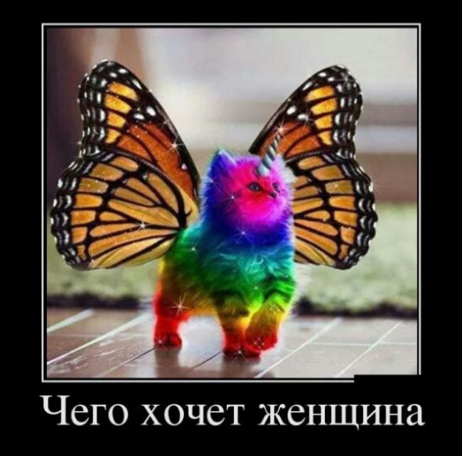 Чего хочет женщина