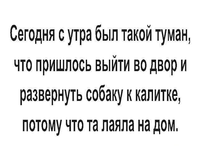 Сегодня сутра был такой туман что пришлось выйти во двор и развернуть собаку к капитке потому что та лаяпа на дом