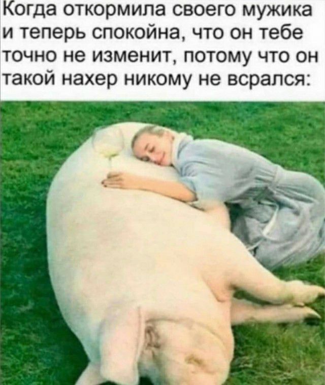 Когда откормила своего мужика и теперь спокойна что он тебе точно не изменит потому что он такой нахер никому не всрался