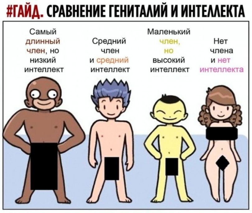 ГДЙД СРАВНЕНИЕ ГЕНИТААИЙ И ИНТЕМЕКТА Самый Маленький длинный Средний член но чпен низкий и высокий интеллект интеллект интеллект