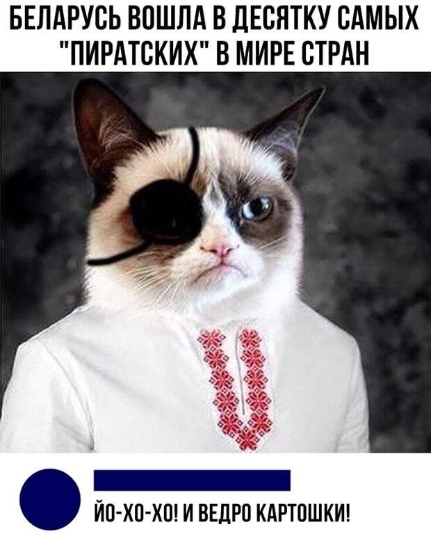 БЕЛАРУСЬ ВОШЛА В ДЕСНТКУ САМЫХ ПИРАТСКИХ В МИРЕ СТРАН _ ЙС ХП ХП И ВЕДРС КАРТСШКИ