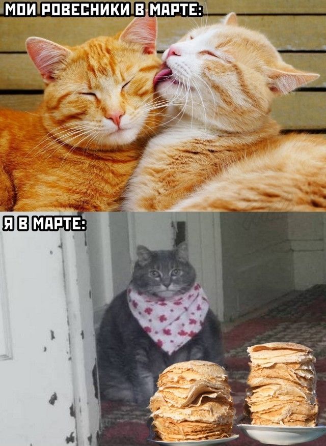 _ мпи ппввпники вБШЕПЗ ___