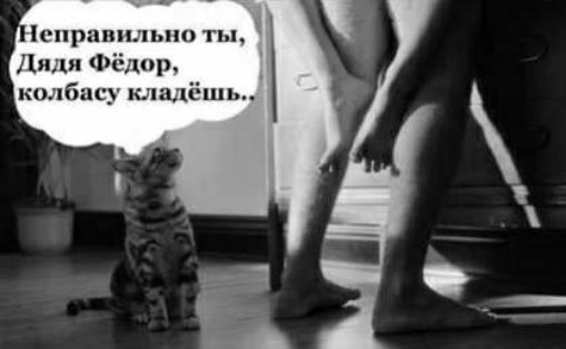 ДпдиФ юр колба кл