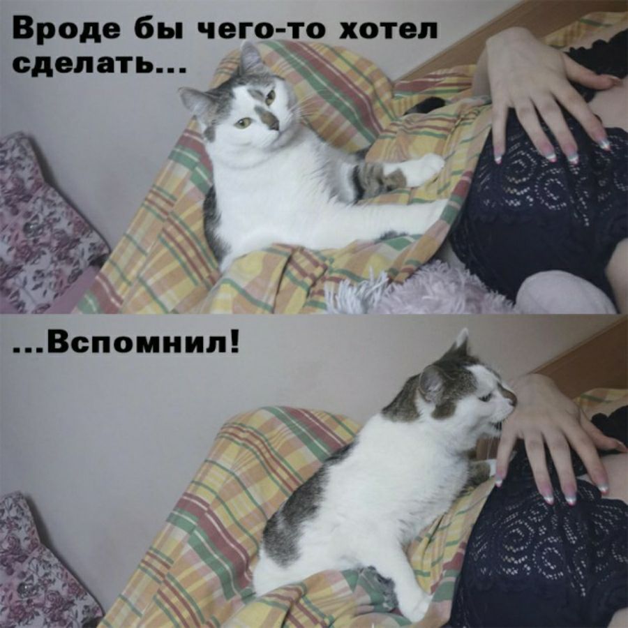 Вроде бы чего то хотел сделать __