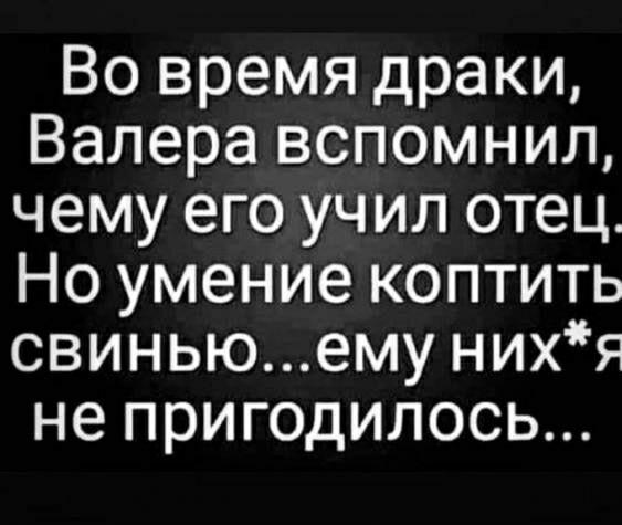 Во время драки Валера вспомнил чему его учил отец Но умение коптить свиньюему нихя не пригодилось