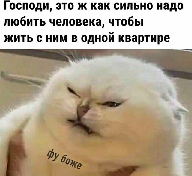 Господи это ж как сильно надо любить человека чтобы жить с ним в одной квартире тчк 3С фид