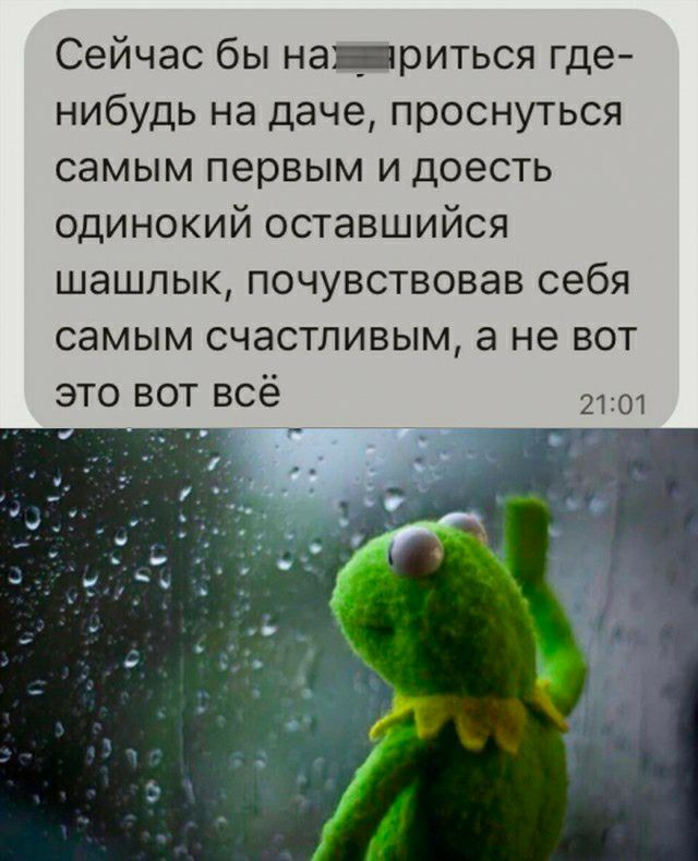 Сейчас бы нариться где нибудь на даче проснуться самым первым и доесть одинокий оставшийся шашлык почувствовав себя самым счастливым а не вот это вот всё ц