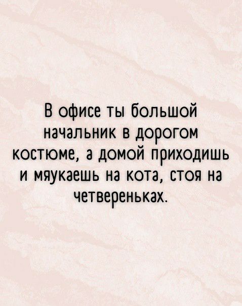 В офисе ты большой начальник в дорогом костюме а домои приходишь и мяукаешь на кота стоя на четвереньках