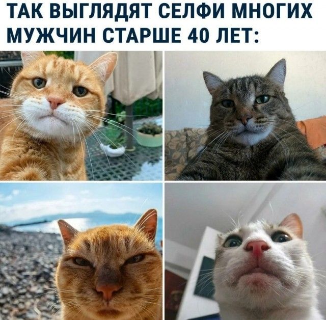 ТАК ВЫГЛЯДЯТ СЕЛФИ МНОГИХ МУЖЧИН СТАРШЕ 40 ЛЕТ