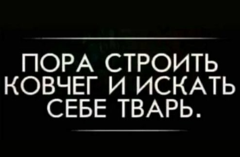ПОРА СТРОИТЬ КОВЧЕГ И ИСКАТЬ СЕБЕ ТВАРЬ