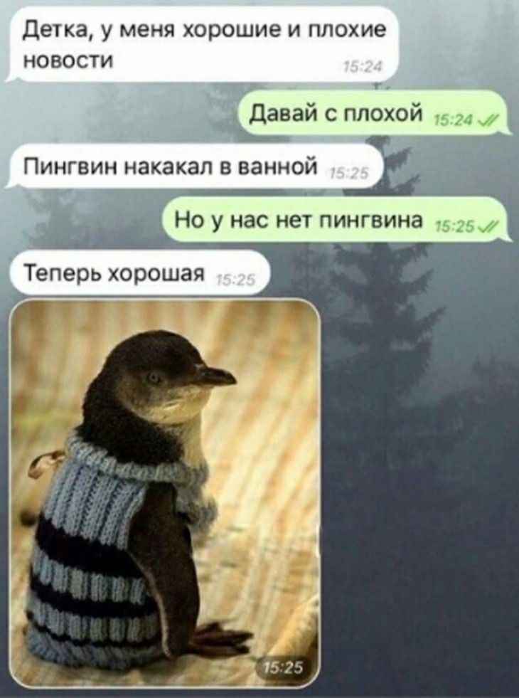 Деука у меня хорпшие и плохие новости давай плохой Пингвин накакап в ванной