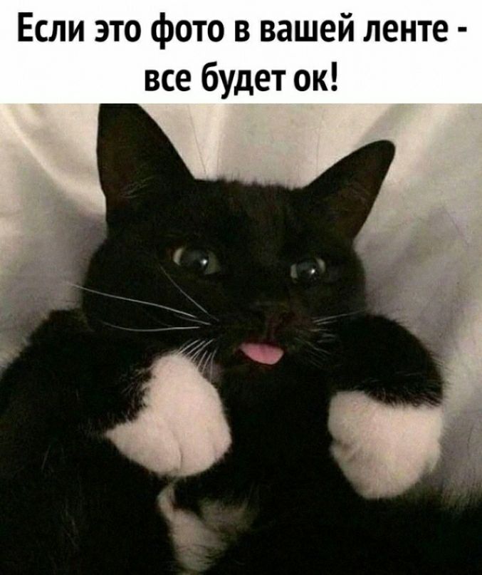 Если это фото в вашей ленте все будет ок