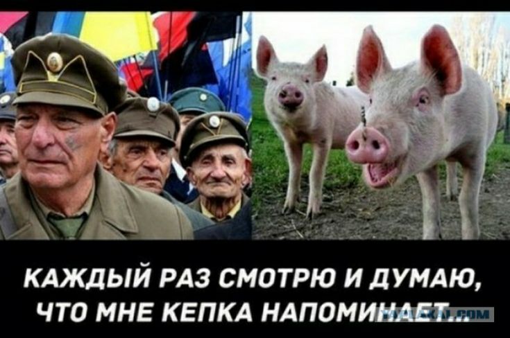 КЩЫЙ РАЗ СМОТРЮ И дУМАЮ ЧТО МНЕ КЕПКА НАПОМИШМТ