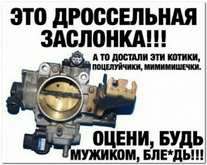 ЭТО дРОССЕЛЬНАЯ ЗАСЛОНКА АШЦМЩИШКШИЩ _ Ё Щшиш 0ЦЕНИ БУДЬ мужиком влэдыи