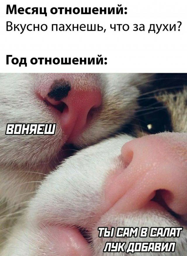 Месяц отношений Вкусно пахнешь что за духи Год отношений