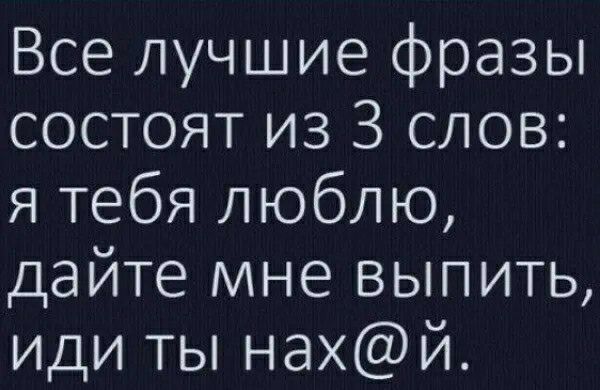 Все лучшие фразы состоят из 3 слов я тебя люблю дайте мне выпить иди ты нахй
