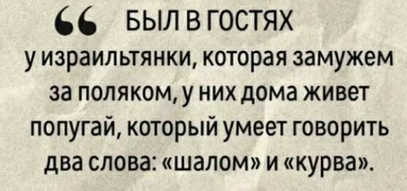 БЫЛ В ГОСТЯХ у израил ьтянки которая замужем за полякому них дома живет попугай который умеет говорить два слова шалом и КУРВа