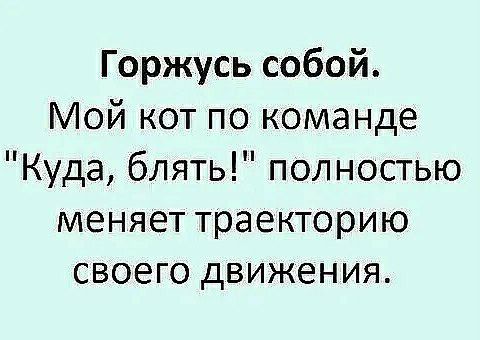 Горжусь собой Мой кот по команде Куда блять полностью меняет траекторию своего движения