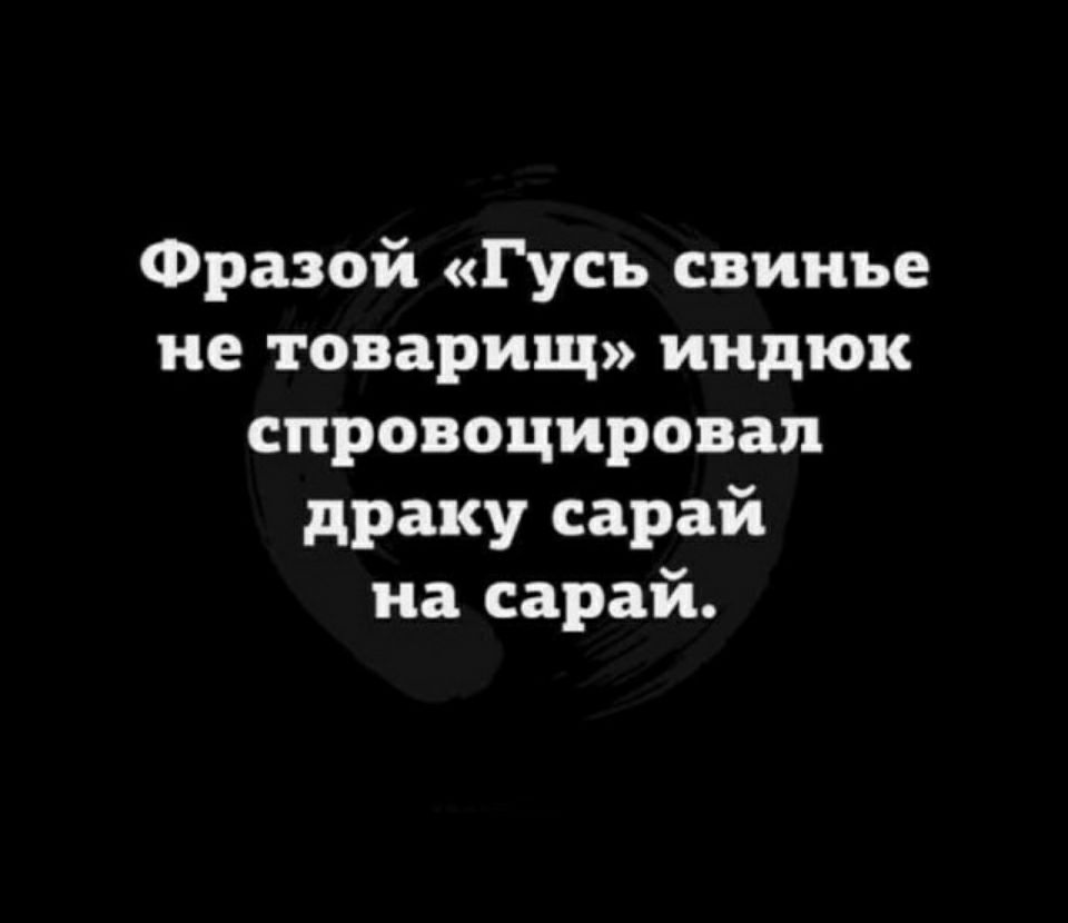 Фразой Гусь свинье не товарищ индюк спровоцировал драку сарай на сарай