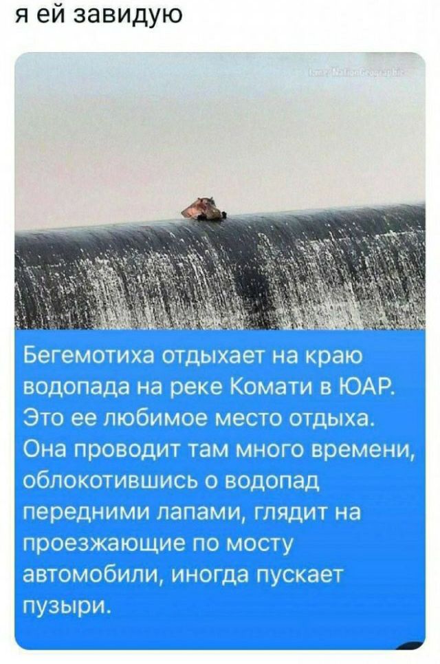 я ей завидую