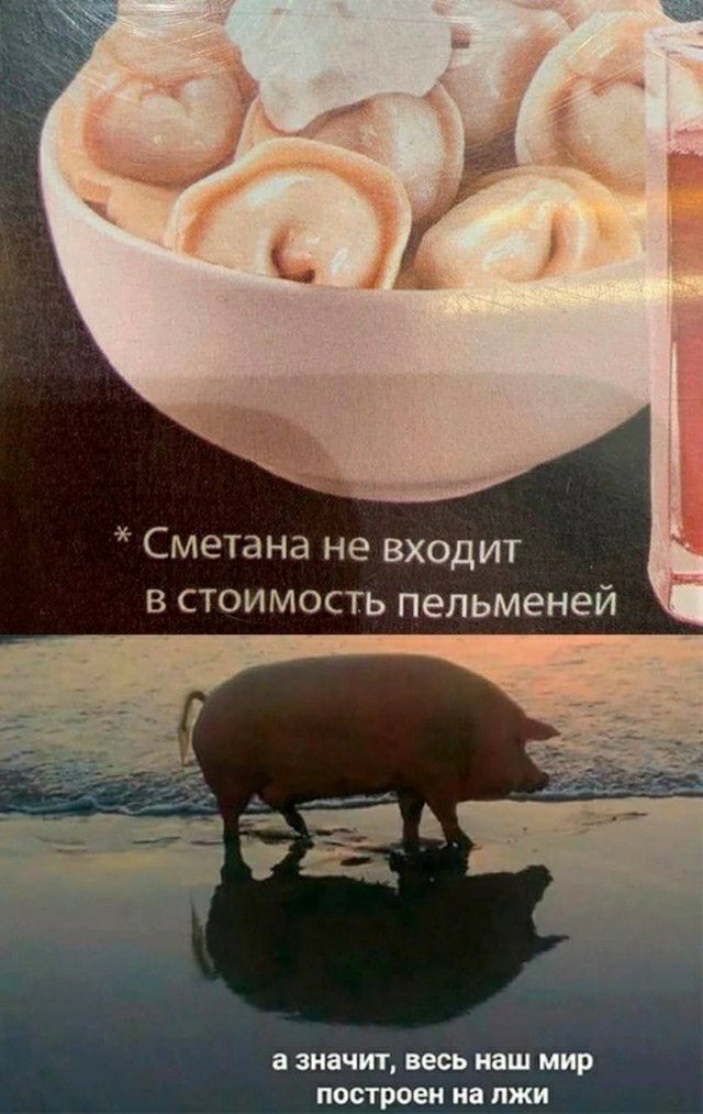 Сметана не входит в стоимость пельменей выпивший ШШ матрешка