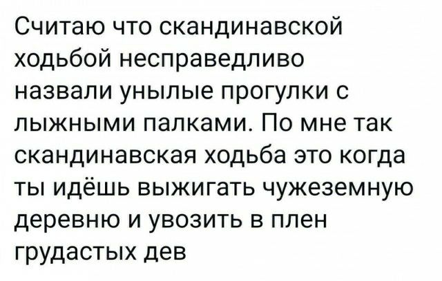 Считаю что скандинавской ходьбой несправедливо назвали унылые прогулки с лыжными палками По мне так скандинавская ходьба это когда ты идёшь выжигать чужеземную деревню и увозить в плен грудастых дев