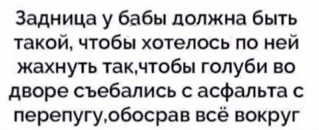 Задница у бабы должна быть такой чтобы хотелось по ней жахнуть такчтобы голуби во дворе съебались с асфальта с перепугудбосрав всё вокруг