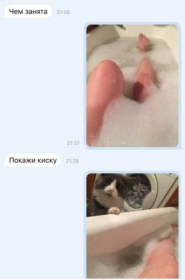Чем занята Покажикиску