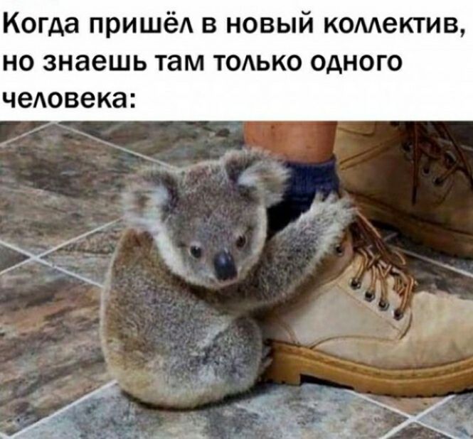 Когда пришёА в новый комектив но знаешь там тодько одного человека