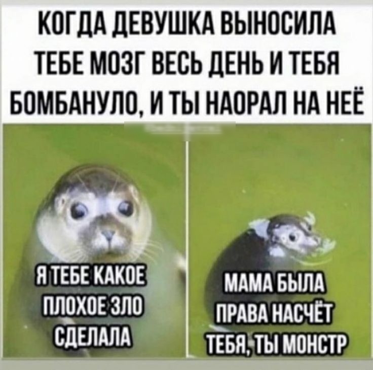 когдА ЦЕВУШКА выносим ТЕБЕ мозг вгсь дЕНЬ и тввя вомрднупц ить нАоРАл нд НЕЁ ИБ д и тие кика плдхпвзпо уд слыш