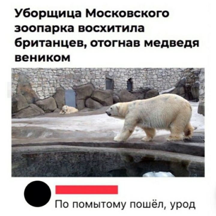 Уборщица Московском зоопарка восхитипа британцев отогнав медведя По помытому пошёл урод