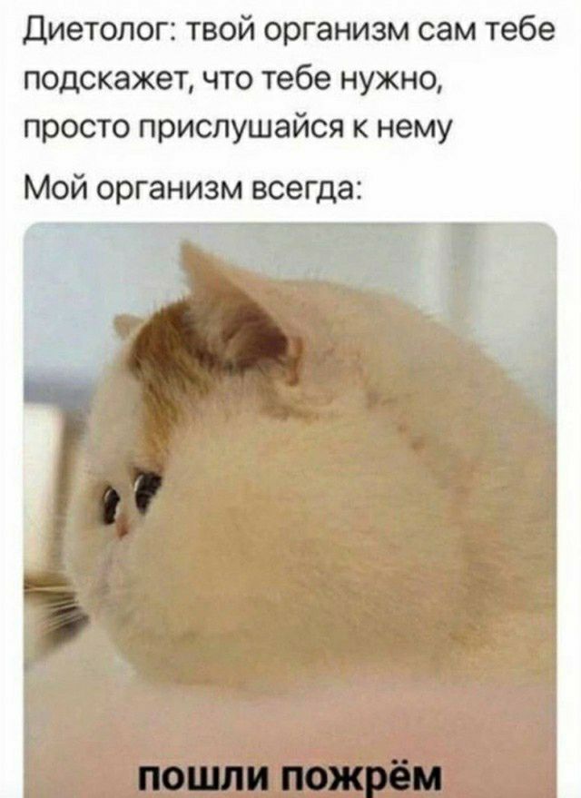Диетолог твой организм сам тебе подскажет что тебе нужно просто прислушайся к нему Мой организм всегда
