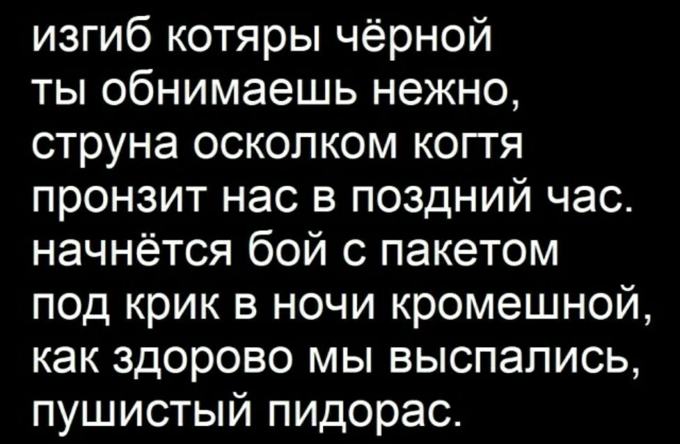изгиб котяры чёрной ты обнимаешь нежно струна осколком когтя пронзит нас в поздний час начнётся бой с пакетом под крик в ночи кромешной как здорово мы выспались пушистый пидорас