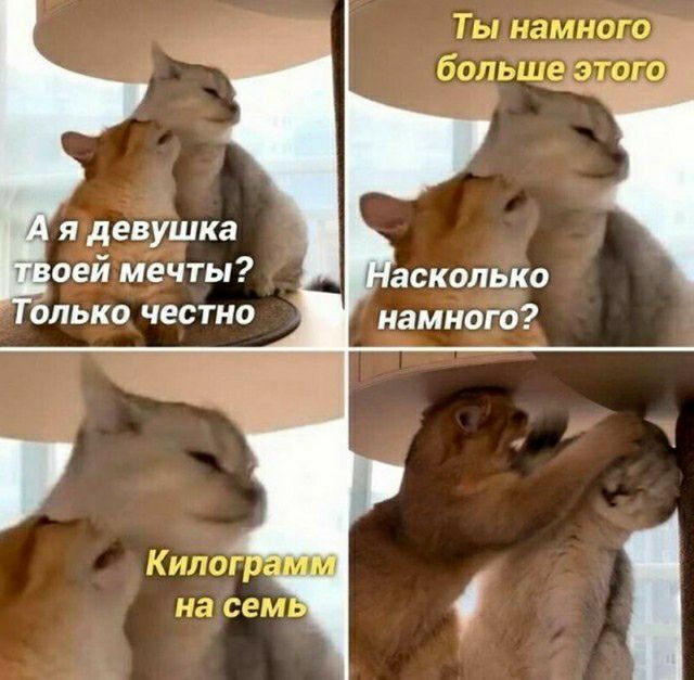 я девушка оей мечты опько честно аскалько намного